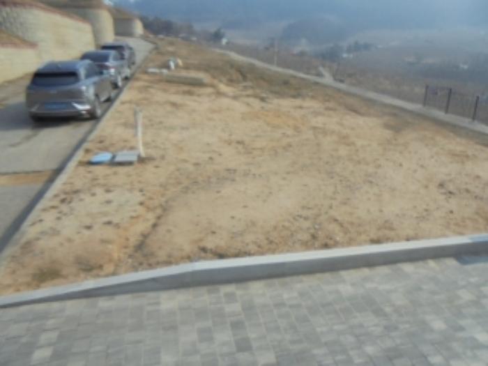 법원경매 2025타경71 사진2 | 충주시 안림동 98-42 과수원 경매
