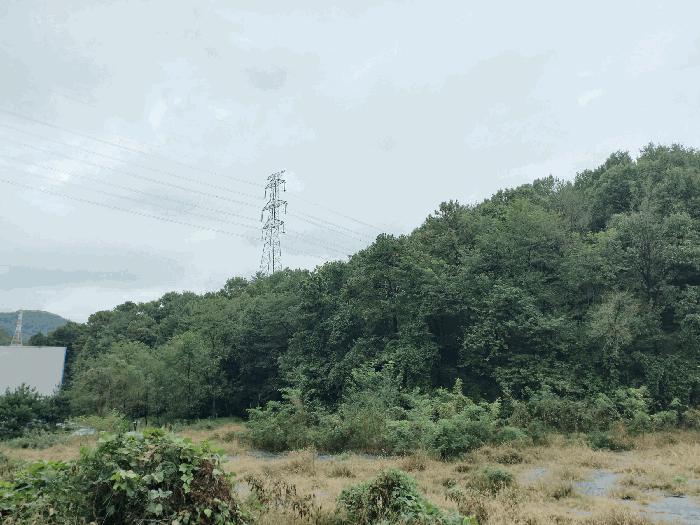 2025타경12428 법원경매 사진2 | 충남 아산시 임야 경매