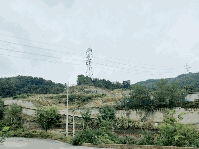 2025타경12428 법원경매 사진9 | 충남 아산시 임야 경매