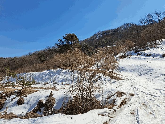 2025타경477 법원경매 사진10 | 충북 충주시 대지 경매