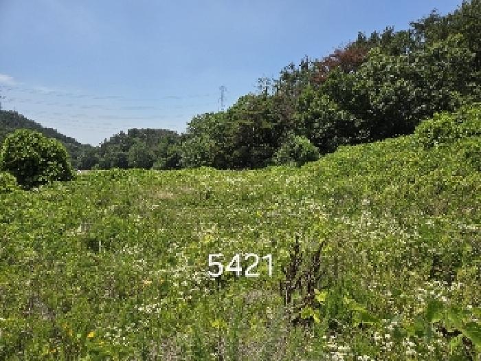 2025타경5421 법원경매 사진3 | 부산 기장군 전답 경매