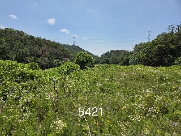 2025타경5421 법원경매 사진4 | 부산 기장군 전답 경매