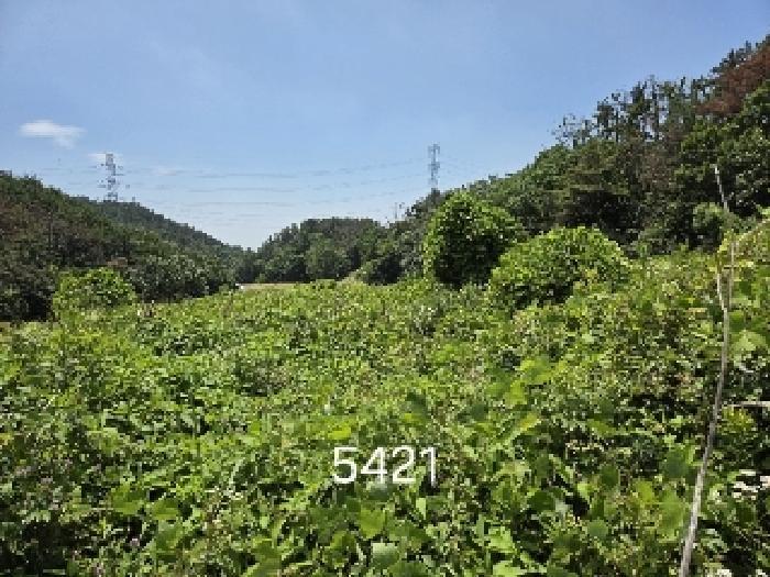 2025타경5421 법원경매 사진5 | 부산 기장군 전답 경매