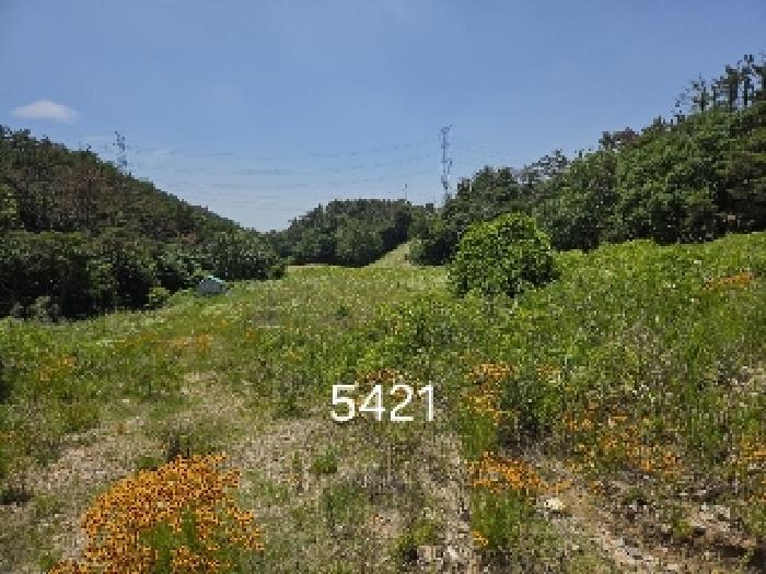 2025타경5421 법원경매 사진7 | 부산 기장군 전답 경매