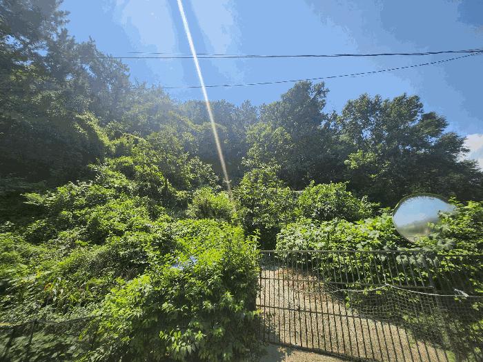 법원경매 2025타경5473 사진6 | 부산 해운대구 반송동 임야 경매