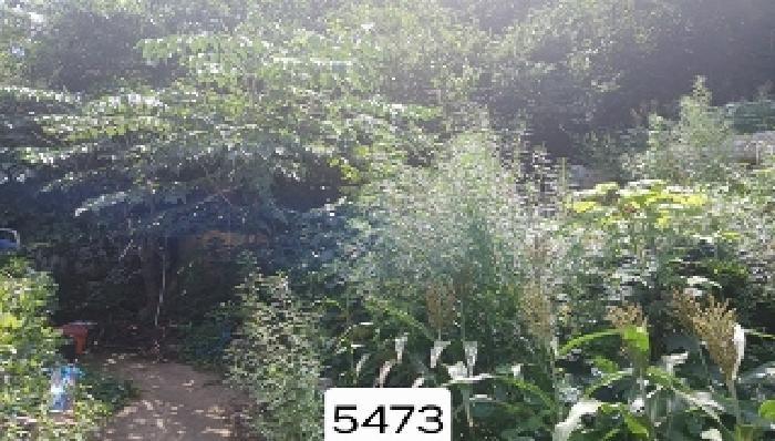 법원경매 2025타경5473 사진9 | 부산 해운대구 반송동 임야 경매