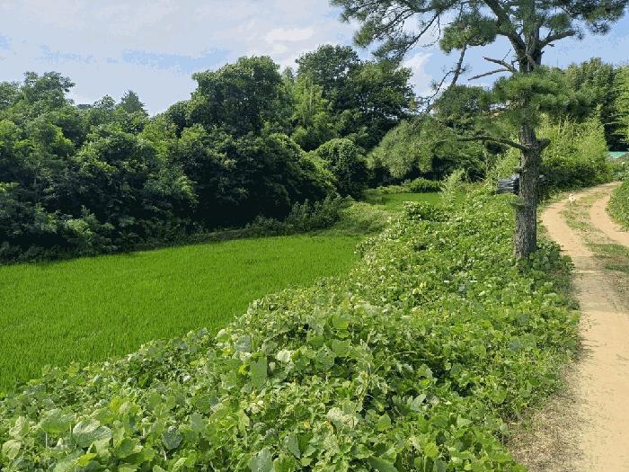 부산광역시 기장군 일광읍 원리 559 법원경매 물건 대표사진