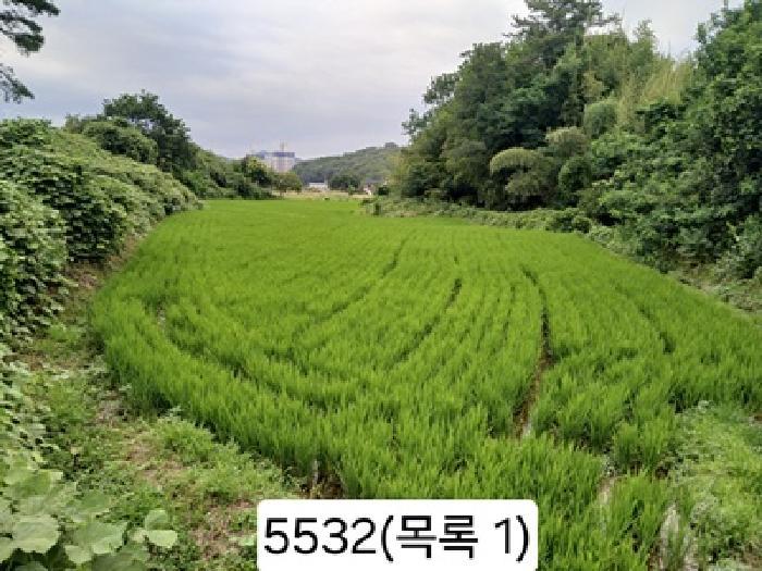 법원경매 2025타경5532 사진4 | 부산 기장군 일광읍 원리 559 답 경매