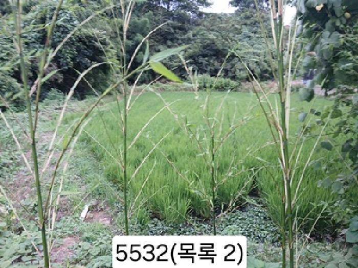 법원경매 2025타경5532 사진5 | 부산 기장군 일광읍 원리 559 답 경매