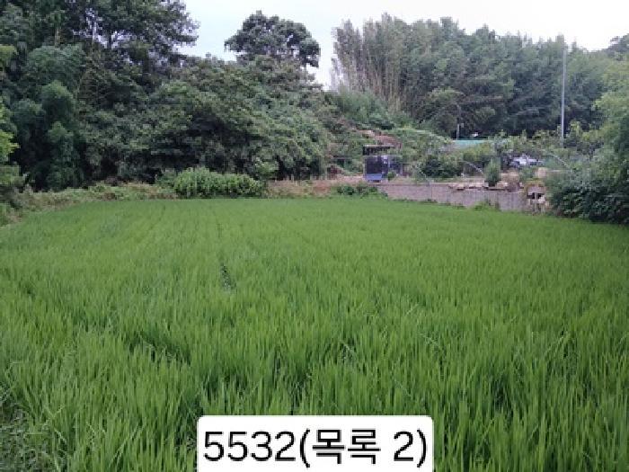 법원경매 2025타경5532 사진6 | 부산 기장군 일광읍 원리 559 답 경매