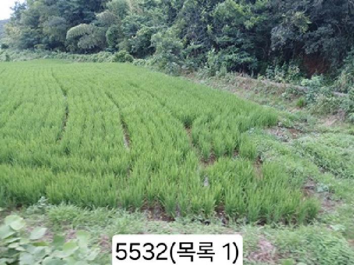 법원경매 2025타경5532 사진3 | 부산 기장군 일광읍 원리 563 답 경매