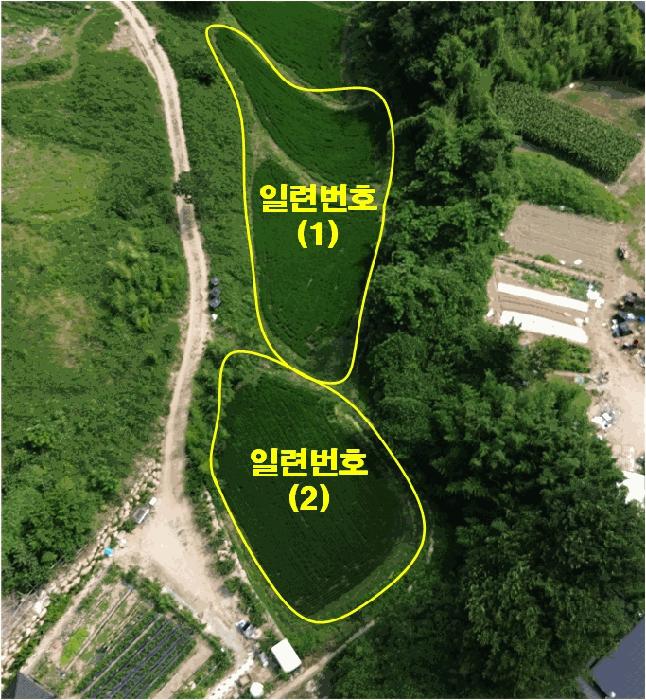 법원경매 2025타경5532 사진7 | 부산 기장군 일광읍 원리 563 답 경매