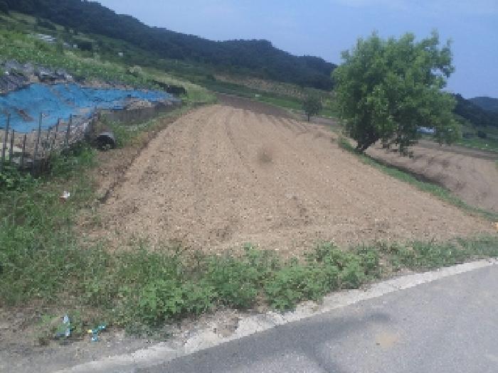 2025타경31382 법원경매 사진3 | 전북 임실군 답 경매