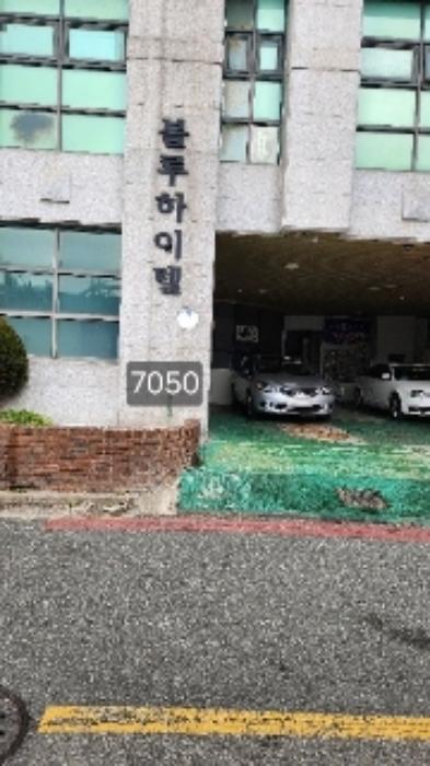 부산광역시 해운대구 좌동 1432-1 블루하이텔 지하1층비이101호 법원경매 물건 대표사진