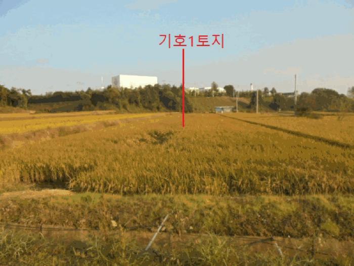 충청북도 음성군 대소면 삼호리 790 법원경매 물건 대표사진