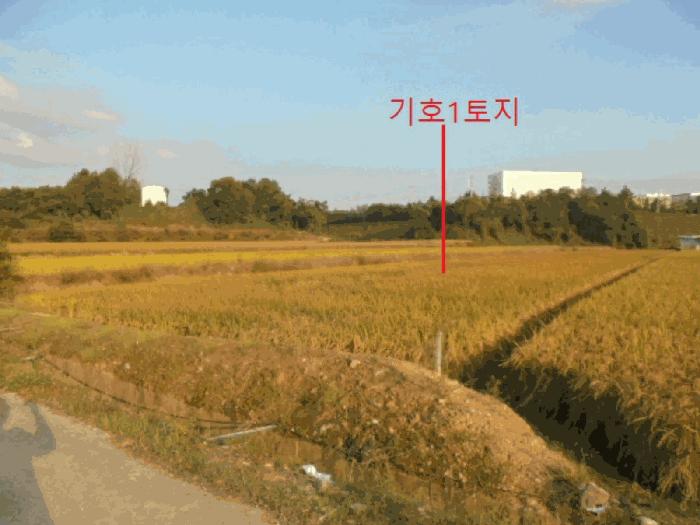 2025타경2381 법원경매 사진4 | 충북 음성군 답 경매