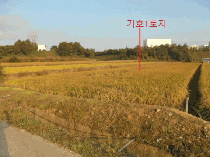 2025타경2381 법원경매 사진9 | 충북 음성군 답 경매