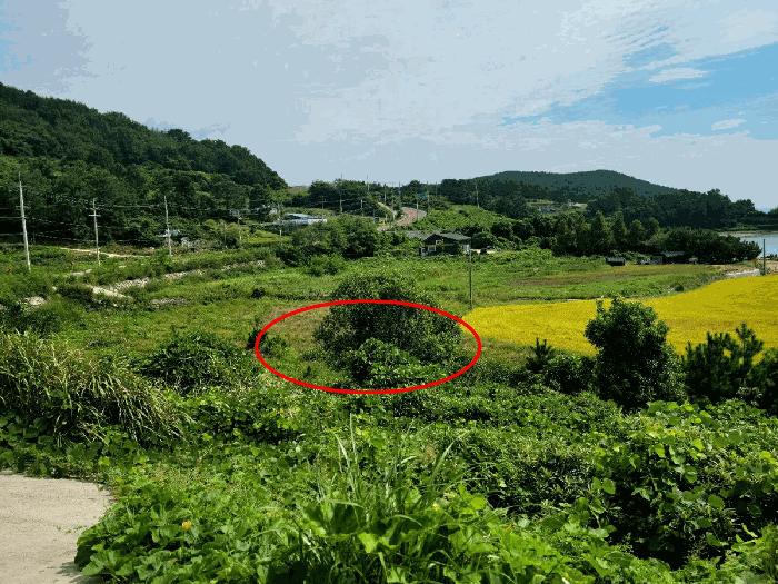 2025타경52041 법원경매 사진3 | 전남 고흥군 다가구주택 경매