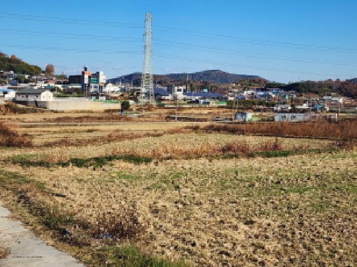 2025타경52312 법원경매 사진5 | 전남 여수시 전 경매
