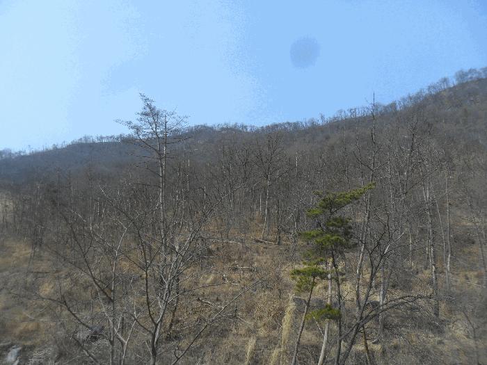 경상남도 밀양시 상동면 안인리 산108-1 법원경매 물건 대표사진