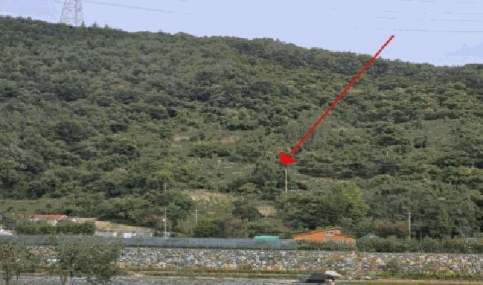 경상남도 밀양시 단장면 사연리 산165-29 법원경매 물건 대표사진