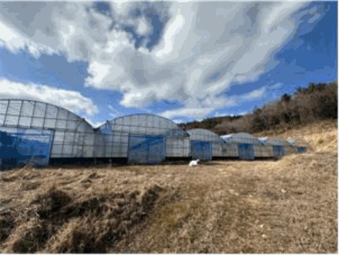 2025타경655 법원경매 사진2 | 전남 진도군 공장 경매
