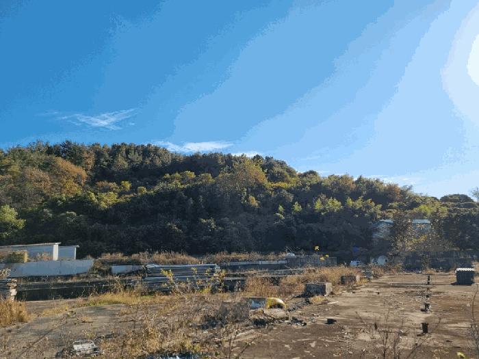 2025타경532 법원경매 사진4 | 전남 무안군 대지,임야,전답 경매