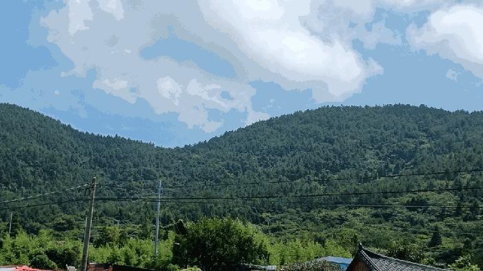 법원경매 2025타경50564 사진5 | 완도군 청산면 동촌리 임야 경매