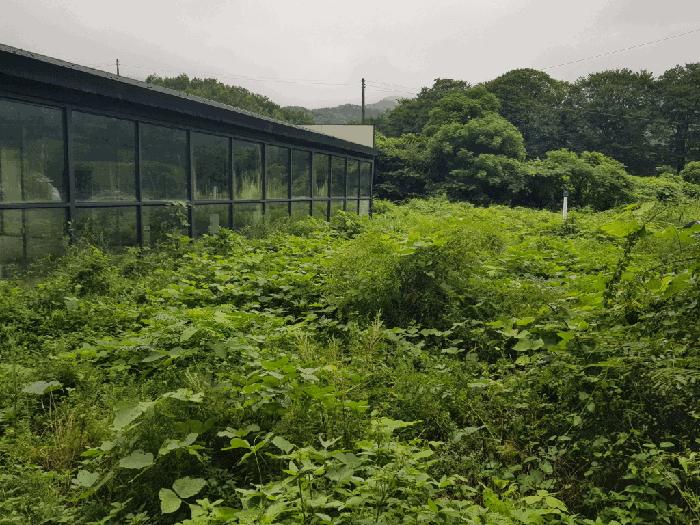 2025타경50567 법원경매 사진2 | 전남 해남군 답 경매