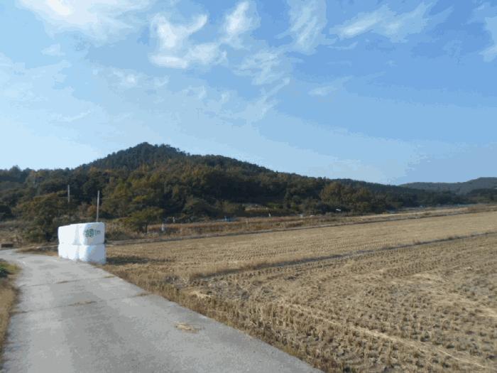 2025타경50690 법원경매 사진2 | 전남 해남군 임야 경매