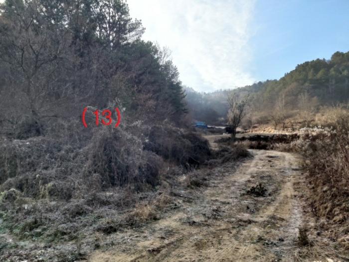 충청남도 금산군 제원면 수당리 355-5 법원경매 물건 대표사진