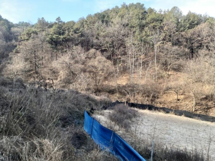 2024타경11528 법원경매 사진4 | 충남 금산군 대지,임야,전답 경매