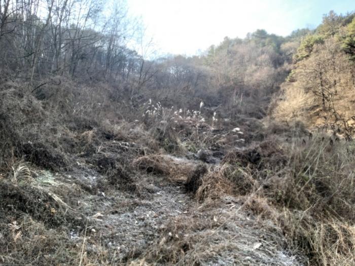 2024타경11528 법원경매 사진5 | 충남 금산군 대지,임야,전답 경매