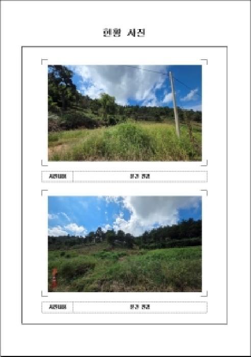2025타경51380 법원경매 사진5 | 전남 무안군 임야 경매