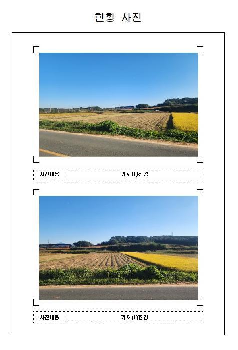 전남 영암군 시종면 월송리 515-7 답 사진 5