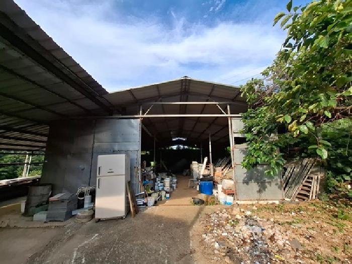 법원경매 2025타경706 사진9 | 남해군 남해읍 평리 826-13 답 경매