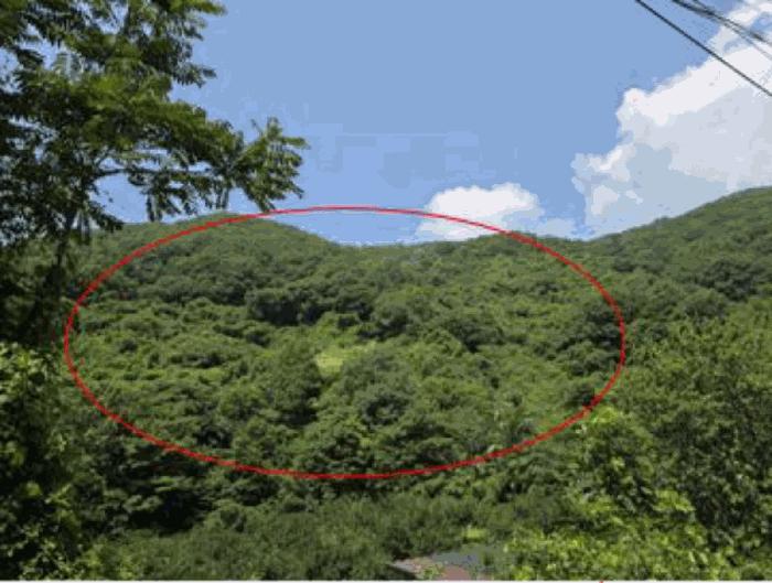 경상남도 산청군 단성면 백운리 산265 법원경매 물건 대표사진