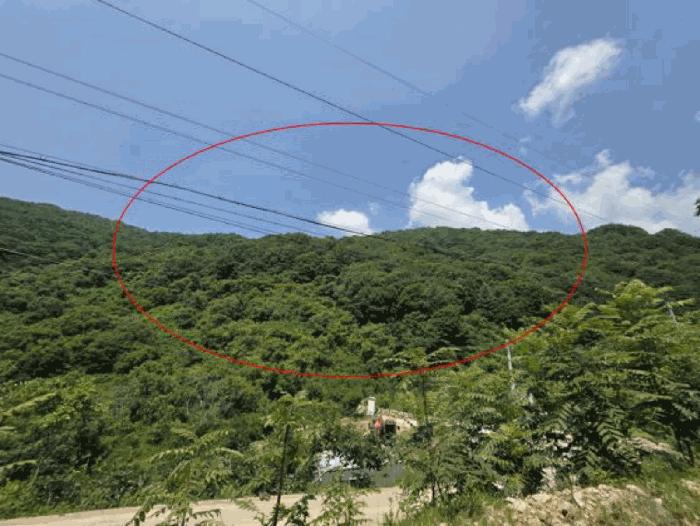 2025타경775 법원경매 사진7 | 경남 산청군 임야 경매