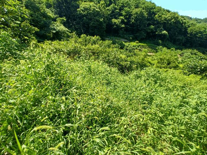 경남 진주시 내동면 독산리 986 답 사진 5