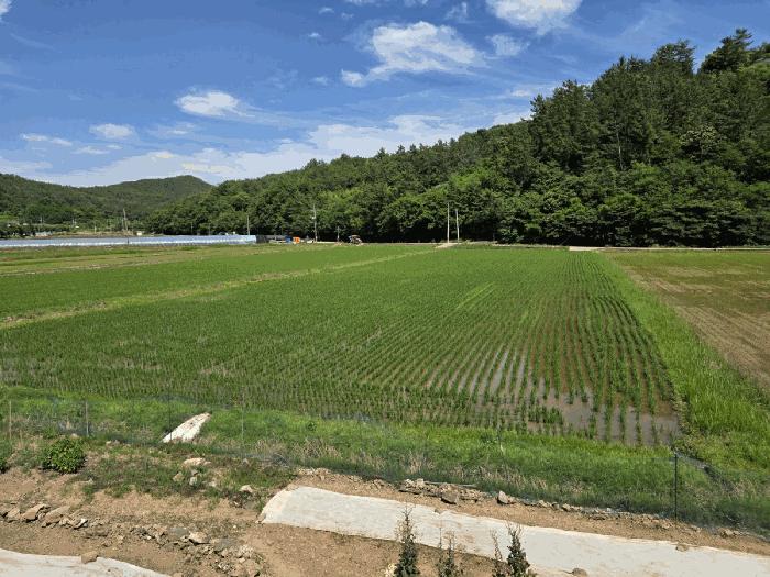 2025타경30874 법원경매 사진7 | 경남 진주시 창고 경매