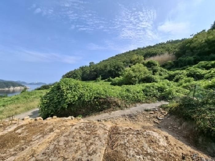 2025타경31092 법원경매 사진6 | 경남 남해군 답 경매