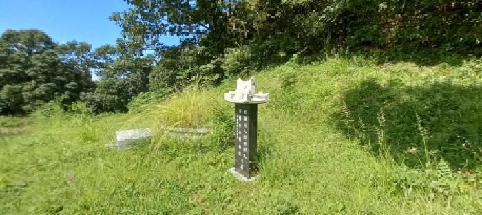 법원경매 2025타경72988 사진13 | 연천군 군남면 선곡리 임야 경매