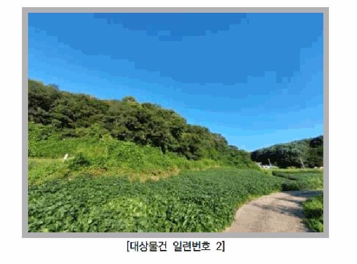 법원경매 2025타경72988 사진2 | 연천군 군남면 선곡리 임야 경매