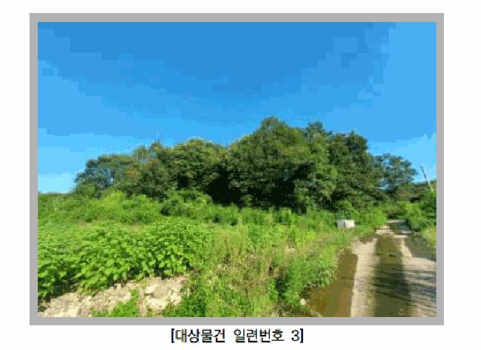 법원경매 2025타경72988 사진3 | 연천군 군남면 선곡리 임야 경매