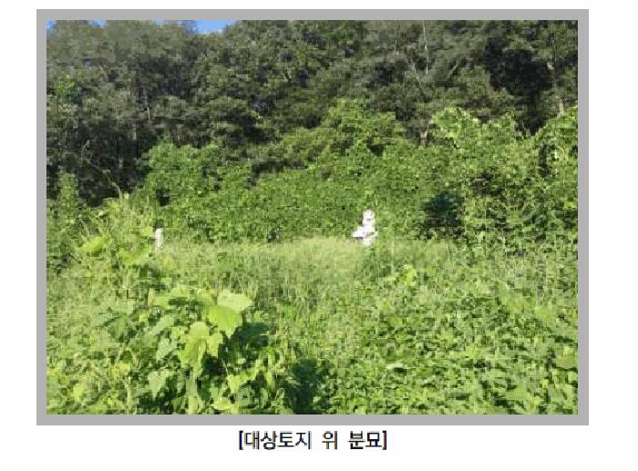 법원경매 2025타경72988 사진4 | 연천군 군남면 선곡리 임야 경매