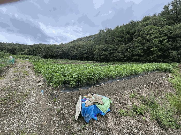 법원경매 2025타경73016 사진2 | 양주시 광적면 우고리 임야 경매