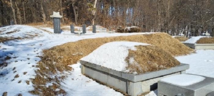 법원경매 2025타경6499 사진9 | 파주시 월롱면 덕은리 임야 경매