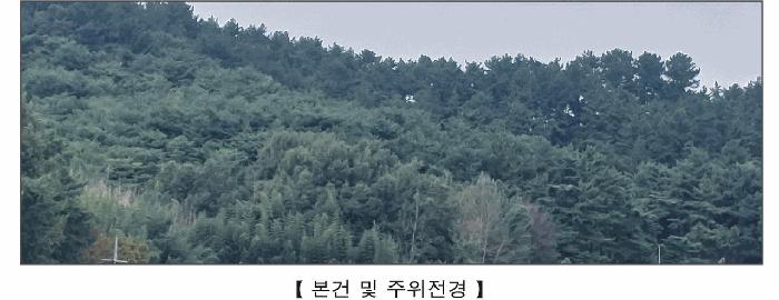 충남 서천군 시초면 선동리 산42-13 임야 경매 물건 사진