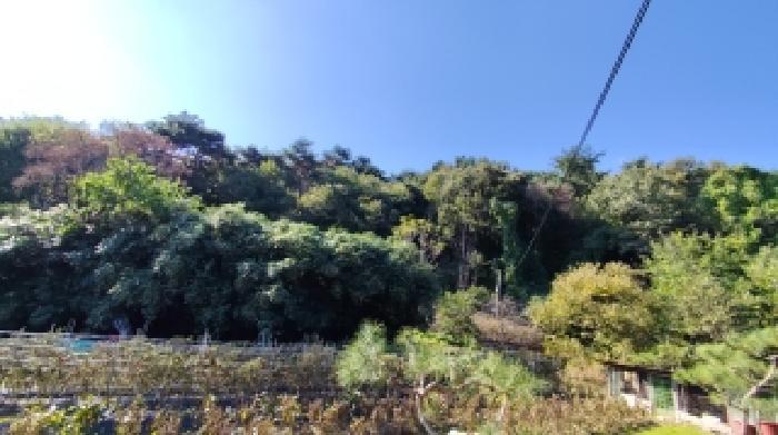 충남 서천군 시초면 선동리 산42-13 임야 사진 3