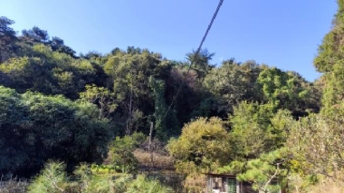 충남 서천군 시초면 선동리 산42-13 임야 사진 4